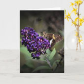 Papillon, carte (Fleur jaune)