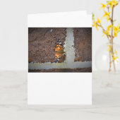 Papillon, carte (Fleur jaune)
