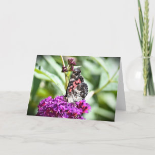 Papillon, carte