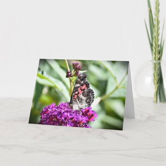 Papillon, carte (Devant)
