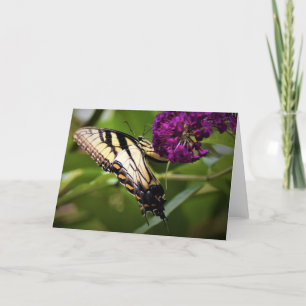 Papillon, carte