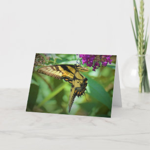 Papillon, carte