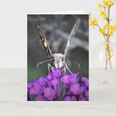 Papillon, carte (Fleur jaune)