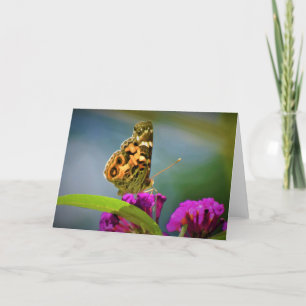 Papillon, carte