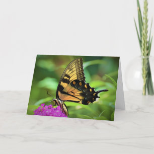 Papillon, carte
