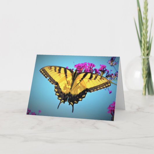 Papillon, carte (Devant)