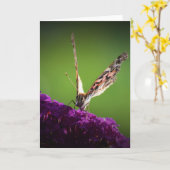 Papillon, carte (Fleur jaune)