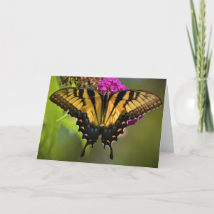 Papillon, carte