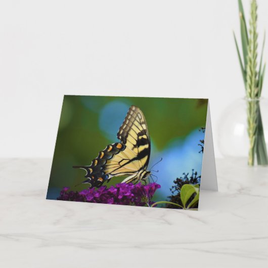Papillon, carte (Devant)