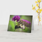 Papillon, carte (Fleur jaune)