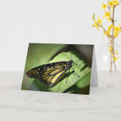 Papillon, carte (Fleur jaune)