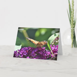 Papillon, carte