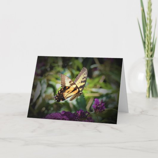 Papillon, carte (Devant)