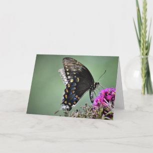 Papillon, carte