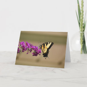 Papillon, carte