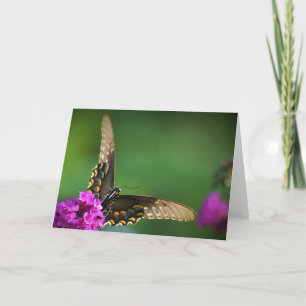 Papillon, carte