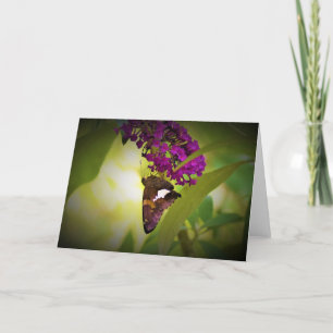 Papillon, carte