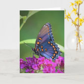 Papillon, carte (Fleur jaune)