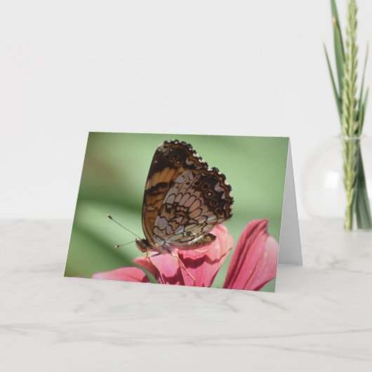 Papillon, carte (Devant)