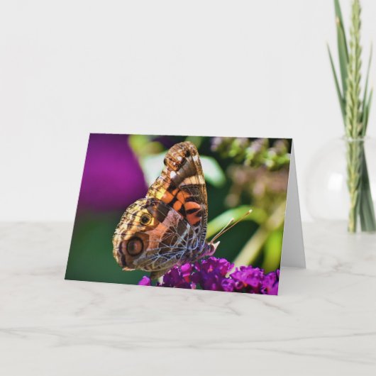 Papillon, carte (Devant)