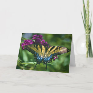 Papillon, carte