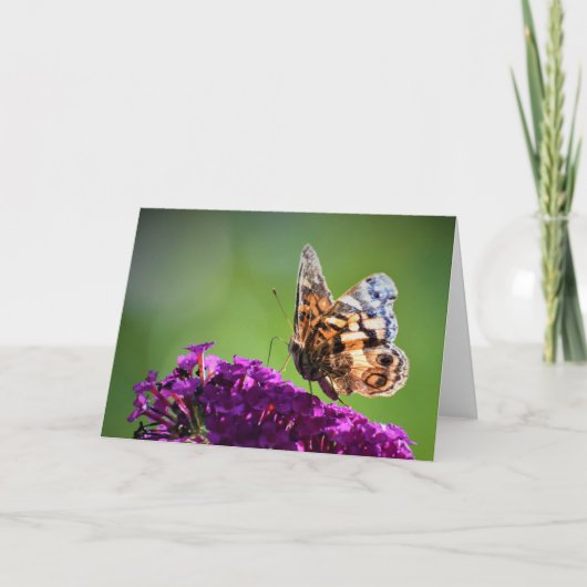 Papillon, carte (Devant)