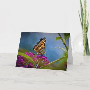 Papillon, carte