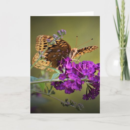 Papillon, carte (Devant)