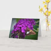 Papillon, carte (Fleur jaune)