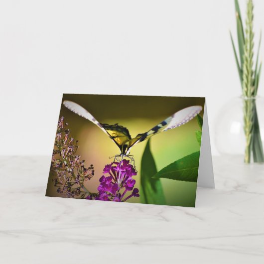 Papillon, carte (Devant)