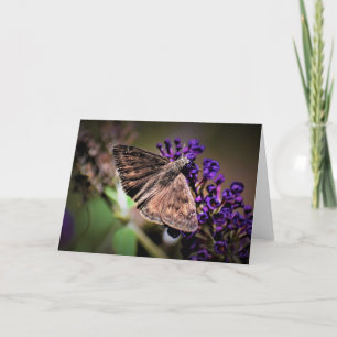 Papillon, carte