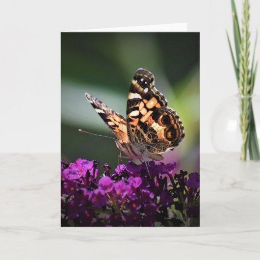 Papillon, carte (Devant)
