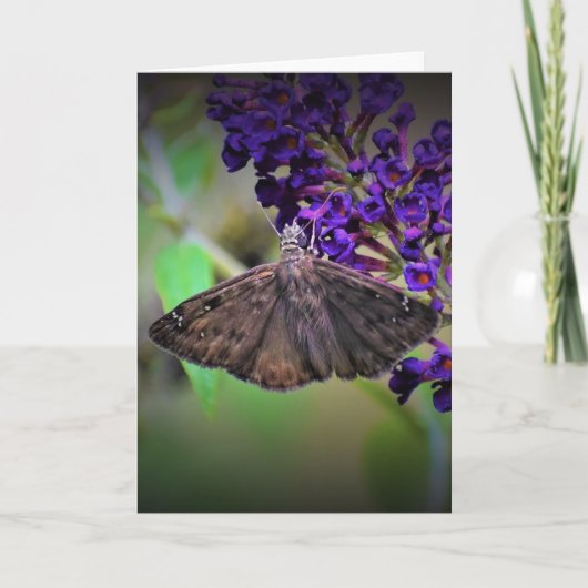 Papillon, carte (Devant)