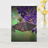 Papillon, carte (Fleur jaune)