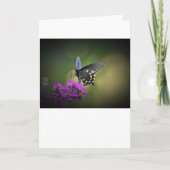 Papillon, carte (Devant)