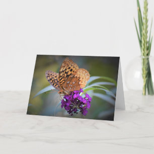 Papillon, carte