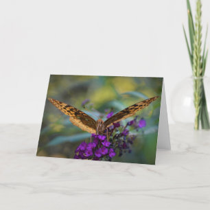 Papillon, carte