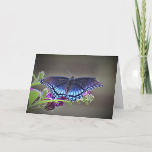 Papillon, carte