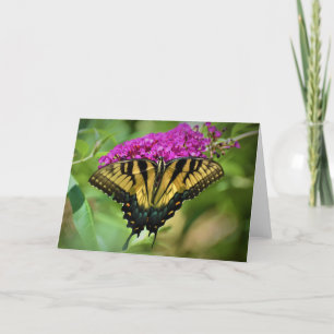 Papillon, carte