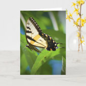 Papillon, carte (Fleur jaune)