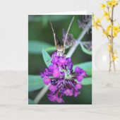 Papillon, carte (Fleur jaune)