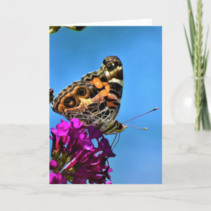Papillon, carte