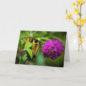 Papillon, carte (Fleur jaune)