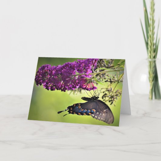 Papillon, carte (Devant)