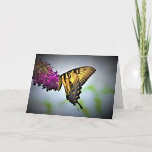 Papillon, carte