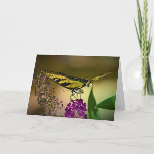 Papillon, carte