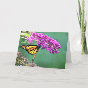 Papillon, carte