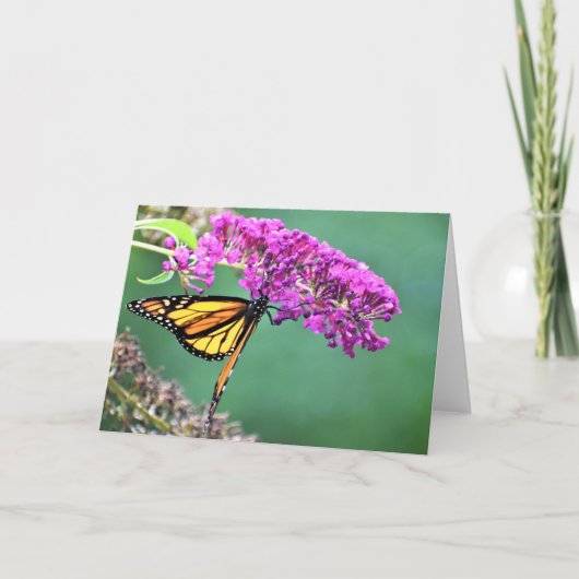 Papillon, carte (Devant)