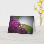 Papillon, carte (Fleur jaune)