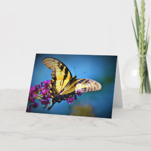 Papillon, carte